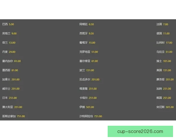 世界杯竞猜赔率分析与预测 新手如何精准把握投注机会