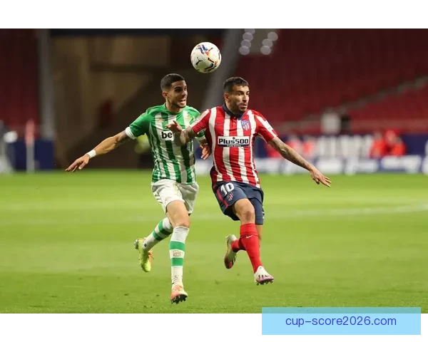 世界杯竞猜投注策略全解析助你精准预测比赛胜负走势